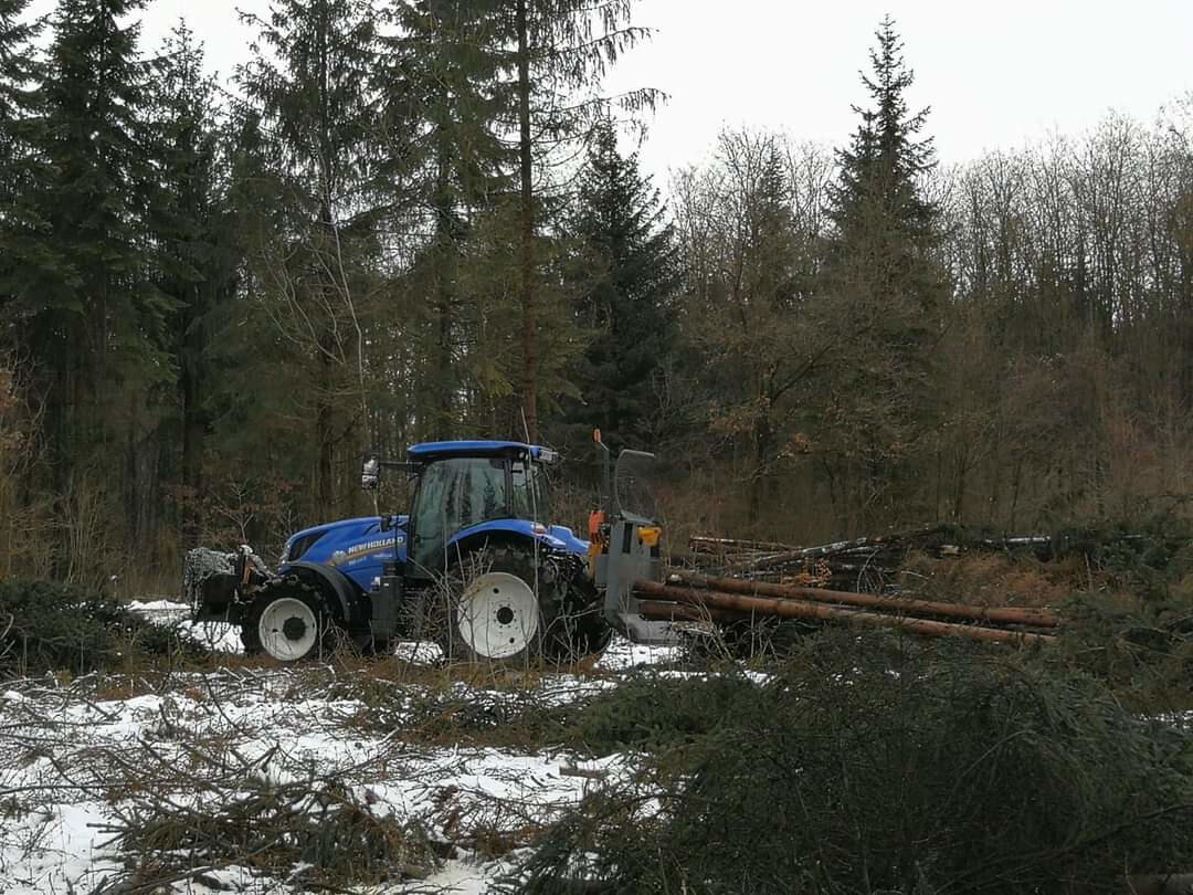 professionelle Waldpflege der Firma Agrar & Forst Service TEUFL