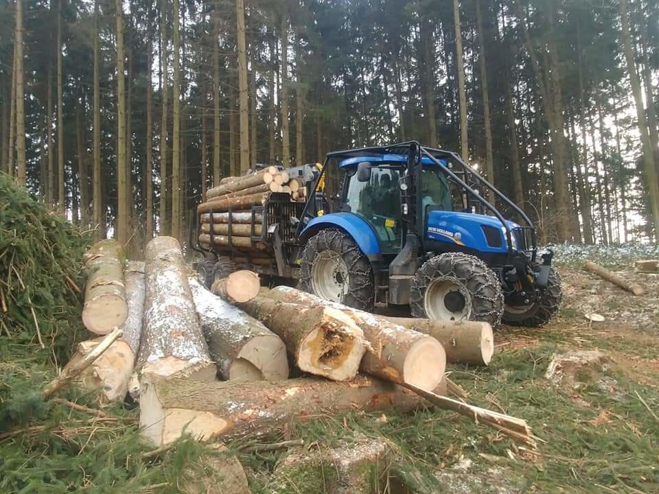 Holzschlägerung bei Agrar & Forst Service TEUFL