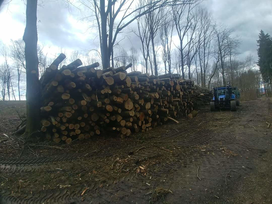 professionelle Holzschlägerung von Agrar & Forst Service TEUFL