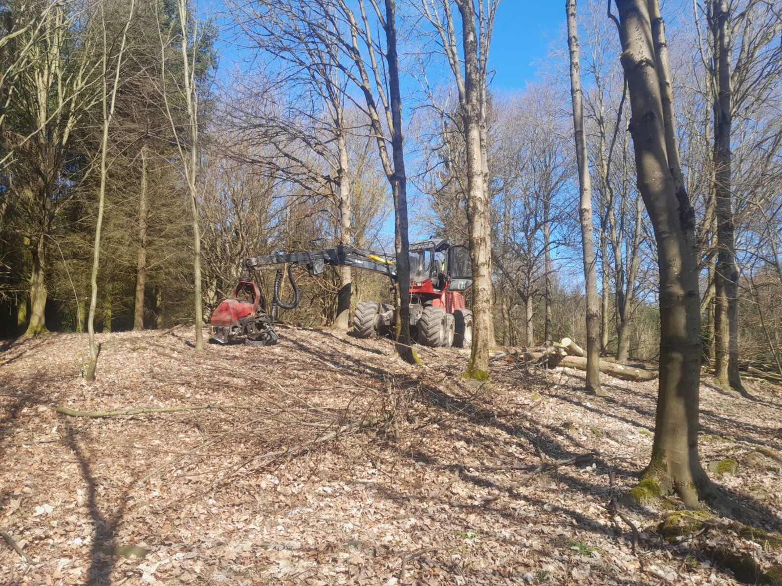 Waldarbeiten