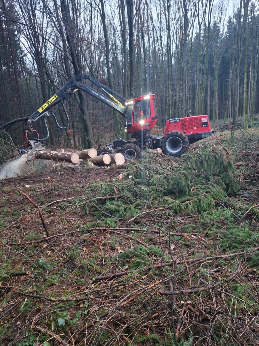 Holschlägerung von Agrar & Forst Service TEUFL